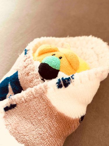 さむくなってきたね
みんなあたたかくしてね