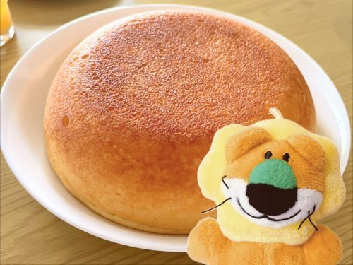 ふかふかのホットケーキだよ🥞

ご主人がインスタはじめたみたい
よければよろしくね📷

https://www.instagram.com/piopipi710?igsh=NHF3YmR3YW5ybjc3&utm_source=qr