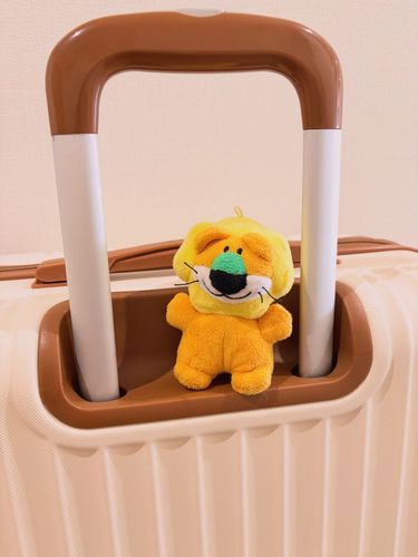 これから旅行だよ〜✈️