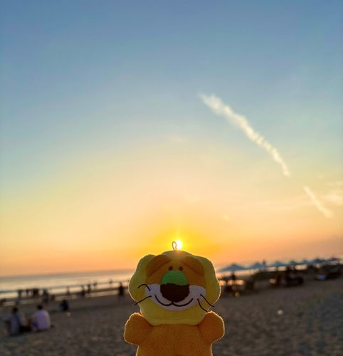 お久しぶりだよ☀️
バリ島たのしかったよ

海外連れて行ってもらえたよ
とてもきれいな夕日だったよ