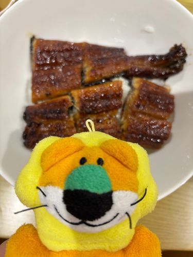 うなぎだよ
