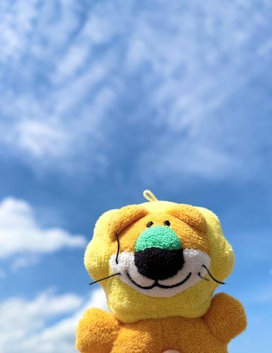 お散歩だよ☀️太陽たっぷり浴びたよ