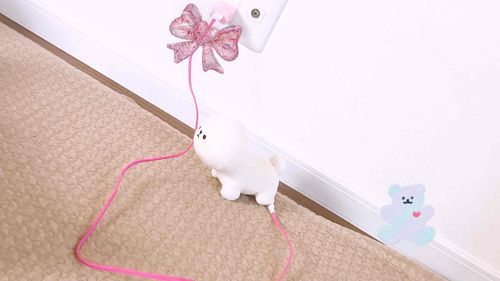 今日はもちもちの主に振り回されて疲れちゃった
だから今は充電してるところ
