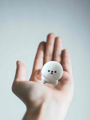 ミニミニもちもちだよ〜       (* 'ᵕ' )ﾀﾞﾖｯ!
