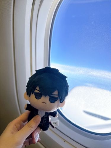 ひこうきにのった。
しゃしんをとったあと、🌻はねてた。
おれはおきて、そとをみてた。
ひろしまのしゃしん、いっぱいある。
しばらくのせる。