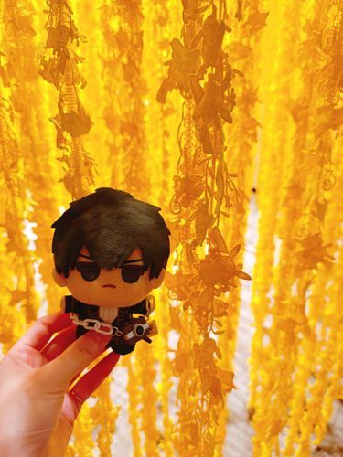 ぽけもんのこうげいてんにいった。
ぴかちゅうがいっぱいいた。
🌻はずっとおれのしゃしんとってた。
おれはちゃんとみた。