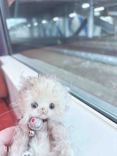 はじめて電車に乗ったよ。
たくさん歩いて疲れてしまった。
おにぎり食べて元気出すよ。