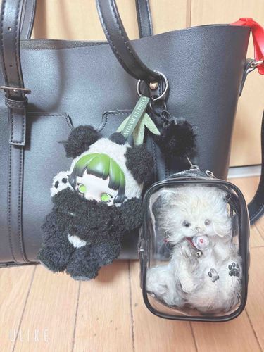 わたしがお出かけするとき用のポーチが届いたよ。
家族のSKULLPANDAさんと一緒に、お外のようすがいっぱい見られるのがうれしかったよ！
電車さんすごいすごーい！
