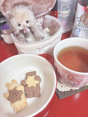 ちょっとずつ掃除をはじめたよ。
大掃除とはまだ言えないくらいだけど、頑張ったよ。
休憩に、くまさんとうさぎさんのクッキー。おいしいね。