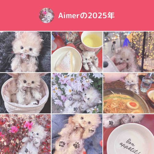 今年も色々あったよ！
来年もいっぱいあそぶよー。
よろしくねー🎵