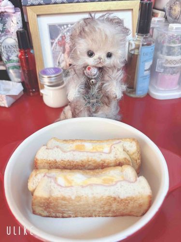 またフレンチトースト食べたよ。
おいしいね。
寒いからぬくぬくして休もうね。