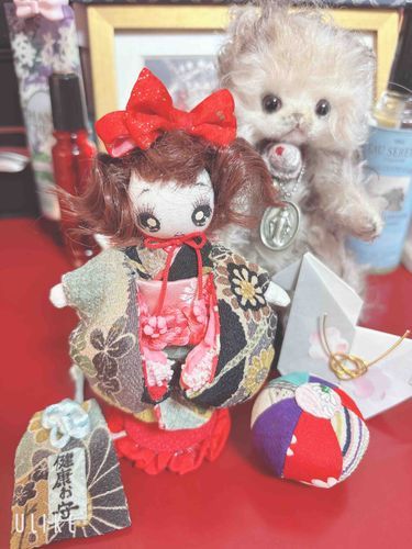 おうちに、新しい友達が来たよ。
文化人形の愛ちゃん、よろしくね。