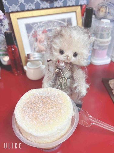スフレプリン。
すごいおいしいよ！
