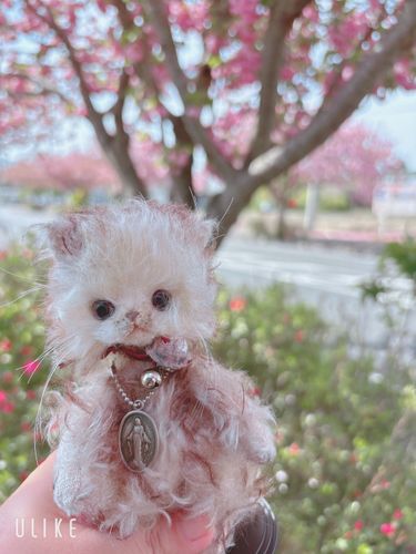 お久しぶり、エメだよ。
今日は八重桜を見ながらおさんぽ。

すごくキレイだったよ！ ( ’ㅅ’ )