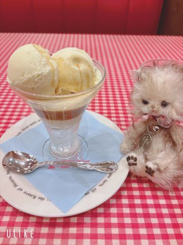 今日はお出かけした日のおやつのアフォガートだよ。
つめたくておいしいね。