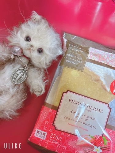 久しぶり、エメだよ。
今日から10月、もう秋だね。
おやつにイチゴとバニラのクレープ。
ジャスミンティーと一緒に食べたよ。
美味しかったね。