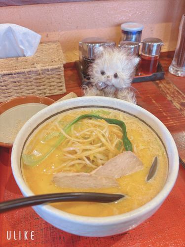らぅめんだよ！美味しいね。