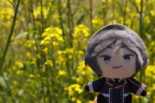 たいしょうとかせんじきをさんぽしたぞ