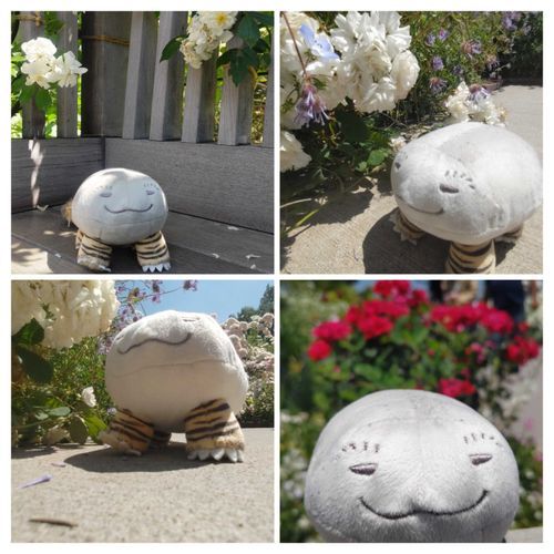 🪨「先々週になってしまったけどローズガーデンに行ってきた。お天気がよいおかげで、お花たちも色鮮やかだったよ」