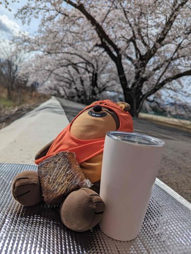 コーヒーとバナナブレッドでお花見するうちゃ