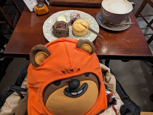 相変わらずスコーンを食べてるうちゃ