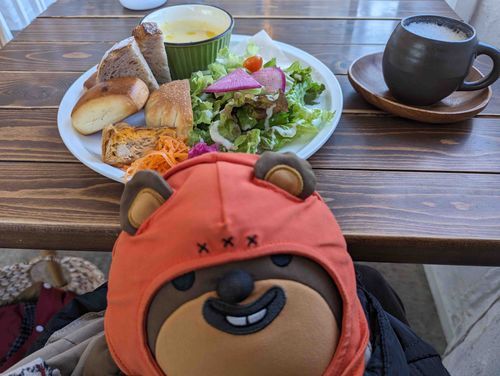 バテバテでずっと元気がなかったけど、大好きなモーニングを食べてやっと復活してきたうちゃ。まだまだ残暑、ふわもこのみんなたちも体に気をつけろ〜！