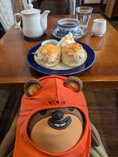 ちゃんとスコーンも食べるうちゃ