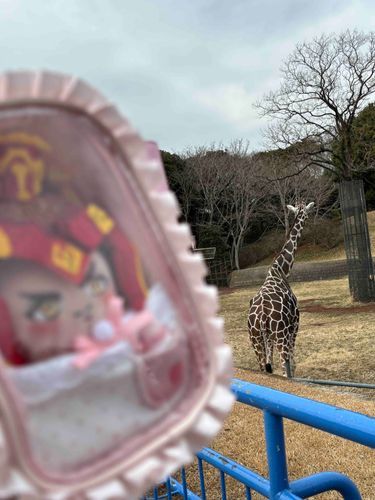 きりんをかうには、そうおうの……なんだっけ？