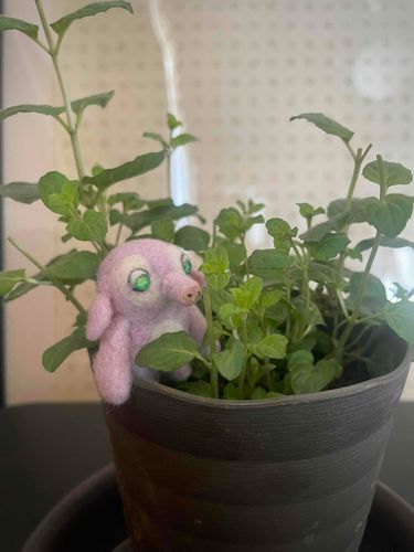 ミント
いい香り