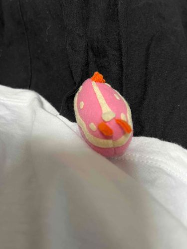 部屋を整理していたら、家出していたウミウシさんが出てきました。
どこに行ってたんですか？
2年ぶりの再会で、さすがに寂しかったのか、お腹のマグネットで一生懸命張り付いてきました。
またよろしくね。
