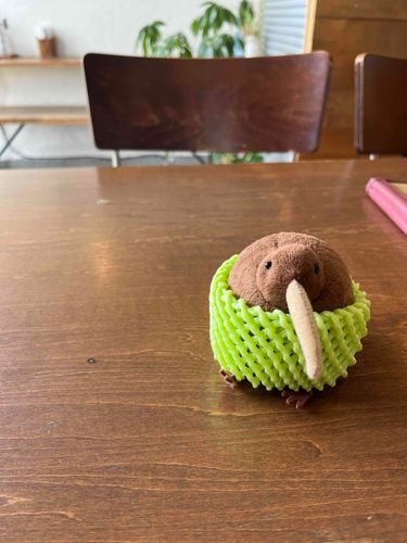 キウイさんと、ご飯を食べに来ました。