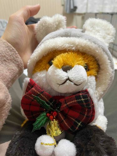 持ち主が、フードを被せて何の生き物？って笑っていました。ひざきつねです。