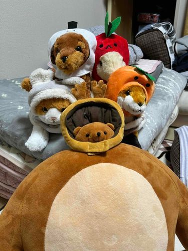 この前撮った、大集合です。肩幅のある子はピップさんです。