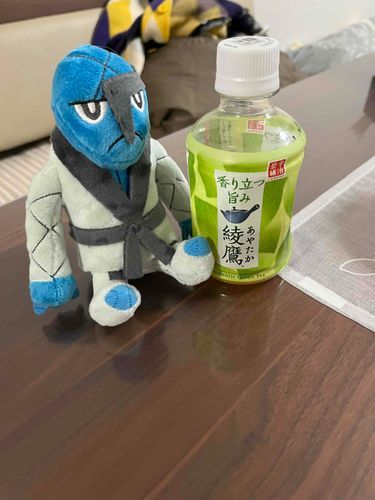ニンゲン:ダゲキさんやっとお迎えした！！！！！！！！！
強い子だから連れ回してもいいかな😭私の心守ってね😭
