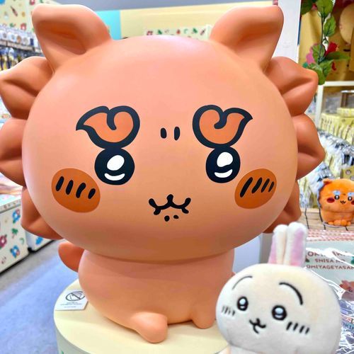 ﾌﾟﾙ…