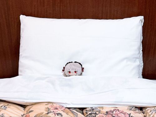 初めてお迎えしたサニャぱぺちゃん

お布団広いね〜❤︎