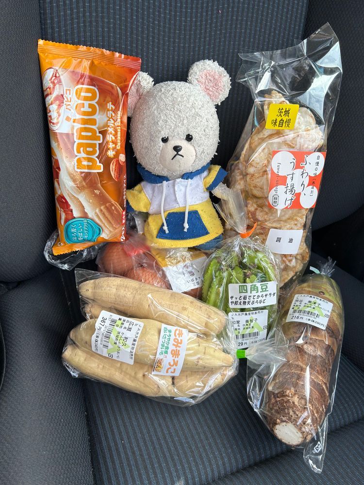昨日のリンゴはね、クラファンで8月に食べたりんごぜりぃとおんなじ福一農園さんのシナノスイートなの🍎箱開けたら、とってもいいにおいするし、ピカピカつやつやなの✨
箱開ける前から、りんごの匂いを察知して、ちくまろうにぼんが🦔🦔🦔🦔
📦開けたら、目の輝きが✨👀
ＪＡに寄って卵を買いに🥚のはずがいろいろと😂パピコにキャラメルラテってあったの知らなかったー❣️きみまろこってさつまいもなんだって🍠白っ‼️
４枚目、ミニーちゃんがミーのドレッシング持ってたから、ぴーしゃん欲かったんだけど、やっと見つけたよ👛はやくサラダ食べたいね🥗🥄🐻‍❄️
