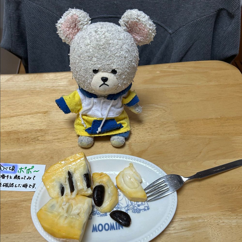 ポポーが、熟した✨
部分的にちょっといきすぎちゃったのは🙄
昨日、緊急地震速報でＭ9.9って見た時、ぴーしゃんポポー食わずじまいかと心残りになりそうだったから、早々に昨日剥いたよ🔪
けっこう甘い匂いが広がるんだよ〜南国系フルーツの様な？
森のカスタードなんて言われてる幻の果物だけど、ん〜マンゴーの親戚みたいな…
けっこう濃厚な味わいだね🥄🐻‍❄️