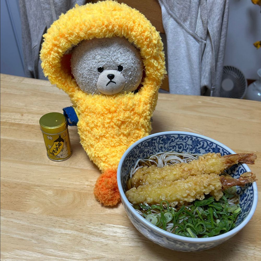 いつも楽天の魚の加工品とか買ってるお店にね、イイダコの冷凍があったの✨
韓国バラエティ番組でラーメンにたこ入れて作ってるとこやってたから、ぴーしゃん真似っこして、辛ラーメンに入れちゃうんだ🍜
ジャジャーン🎉
チュクミ🐙ラミョン🍜を食べるたこぴーしゃん🐙🐻‍❄️&辛いものに警戒中のはりーちゃん🦔
いいだこ　うめぇ〜😍
かぶりものついでに…
海老天ぴーしゃんになって海老天そばリクエスト🍤
さて‼️
晩ごはんにべか菜と油揚げの煮びたしを✨味がほんのり苦味あって油揚げと合う👍
ちんげん菜と小松菜の間なイメージだった🥬