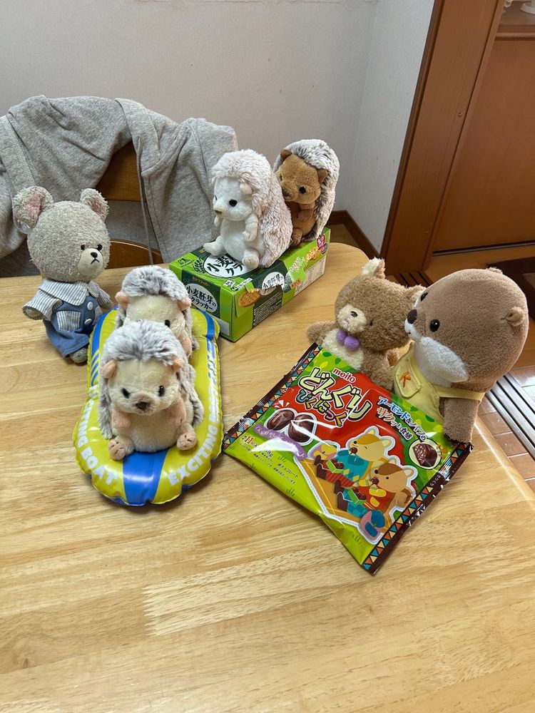 順番しながら楽しく遊んでたらね、こっつんとりすたんがどんぐり持って来たの〜❣️
どんぐり好きそうなふたりにお家の人があげたみたい✨
みんなで、まずおやつにしよう🍫
わぁ〜、ちゃんとカタチがどんぐり〜❣️