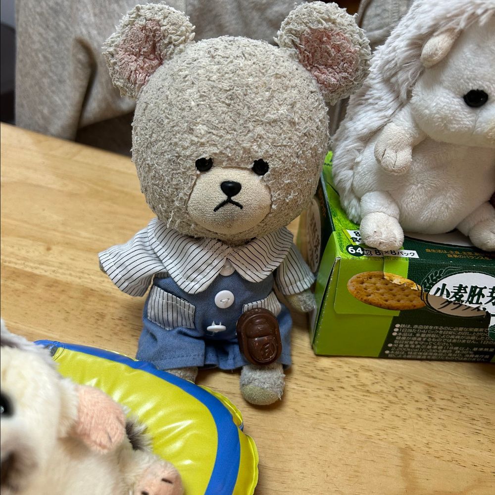 順番しながら楽しく遊んでたらね、こっつんとりすたんがどんぐり持って来たの〜❣️
どんぐり好きそうなふたりにお家の人があげたみたい✨
みんなで、まずおやつにしよう🍫
わぁ〜、ちゃんとカタチがどんぐり〜❣️