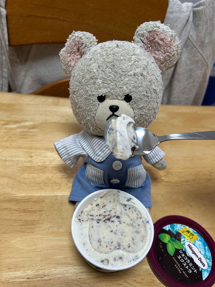 ハーゲンダッツからショコラミントエクストラなの❣️
いただきま〜す🥄🐻‍❄️
ショコラ強めでもちゃんとミント🌱
パリパリチョコ感がたまらないね👍

ぴーしゃんのお昼ごはんね、このニッポンハムから出てる牛すき焼き丼の具を使って、すき焼きうどんにしたの🎶
いいお味の汁をつゆで伸ばして、それでうどん茹でたら味がしみしみ❣️
卵も乗せて〜🥚
ラクうま最高😆✨
