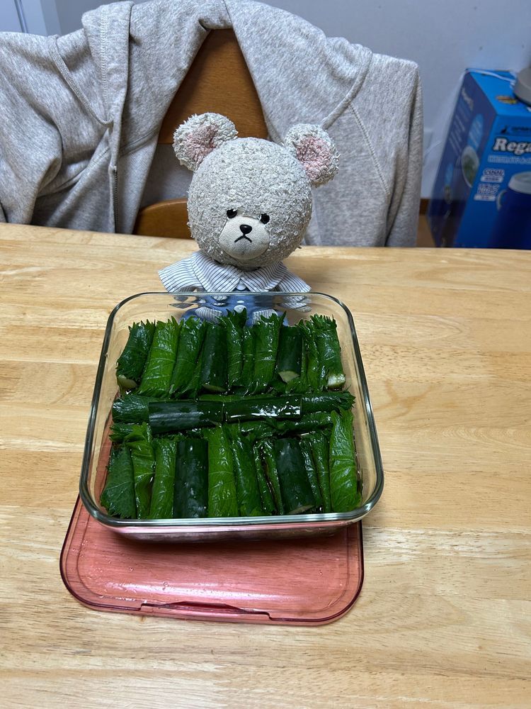 今日はね、あさ霧ってお茶にしたよ🍵
甘いもののいいけど、たまにはおせんべいをチョイスなの🍘
ほどよいしぶさも兼ねていて飲みやすいね🍵🐻‍❄️
おせんべいにもお茶🍵いけるよ💕

モモ様に習った大葉できゅうり巻いた漬け物やってみたの❣️
あっ、庭の大葉は虫との争奪戦に負けたから買ってきたよ👛😢
大葉が足りなくなって、そのままきゅうりを伏せて紛れ込ませてあるのは内緒🤫
夜ごはんにさっそく🥄
🥒うますぎじゃーーーッッ‼️
暑すぎて、そうめん楽しんじゃった❣️