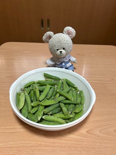 あのグリーンピースがついに収穫に👏👏
鞘から出すとこれだけあった🫛
たっぷり豆ごはんが食べられる🥄🐻‍❄️✨
さっそく、豆ごはんなの❣️
