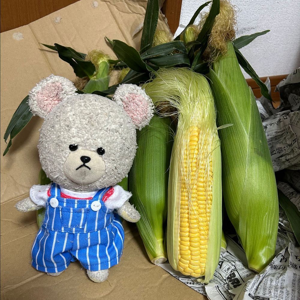お家の人とぴーしゃん、やらなきゃいけないお仕事あるんだけど、サボり中
締め切り明日の朝😂
まだ手すらつけていないんだよね💦

さて、この前のUFOズッキーニなんだけど、切って素揚げにして塩コショウしてみた〜普通のズッキーニ味で美味しかったよ🤣
楽天スーパーセールで買った明太子届いた😍明太子…ほかほか炊き立てごはんの上に置きたい🍚🥄🐻‍❄️
リビングの敷き物新調したの❣️柄が好き💖
ファミマ経営してるおばちゃんがね、とうもろこし🌽送ってくれたの📦
これを食べるのに旨みを楽しむために電子レンジでチンしてねって言われて喜んで食べてたんだけど、途中で気づいたんだけど部分的に生😂
まあ、甘い🌽

余談ですが…最近、ぴーしゃんって打つと予測変換に🐀出てくるのは…🐻‍❄️💢
あの、スマホさん‼️
ぴーしゃんは🐻‍❄️‼️🐻‍❄️‼️
🐭じゃなくて🐀なのも納得いかないけど…とにかく🐻‍❄️‼️