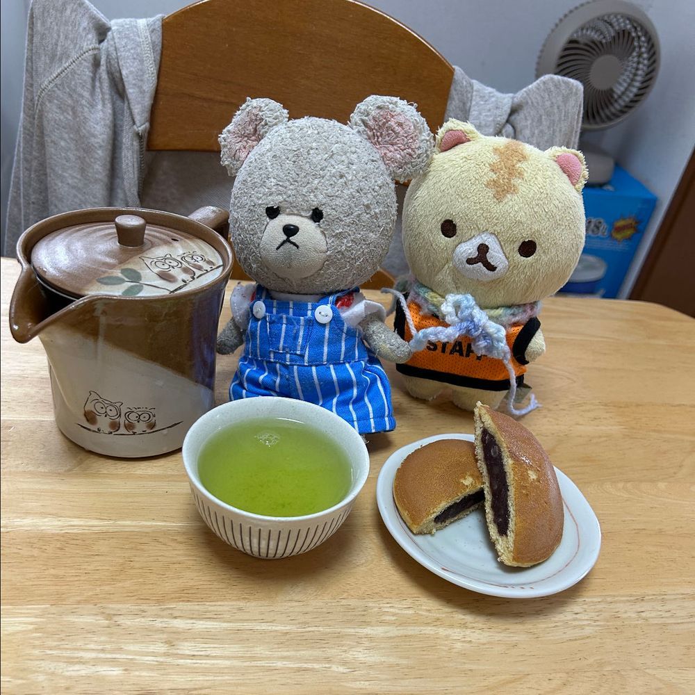 今日は大老ってお茶とどらやきつぶしあんを✨
大老は一袋しか入ってなかったから、きっといいやつのはず❣️
お茶入ったのに、ちっくんこない…
にゃんちゃんはあんこだもんね🤭
にゃんちゃんが食べ終わる頃、ちっくん来たよ🦔
なんでも、ふぅふぅしても簡単に飲み頃こないからって遊んで待ってたみたい…
みんな　自由だな〜