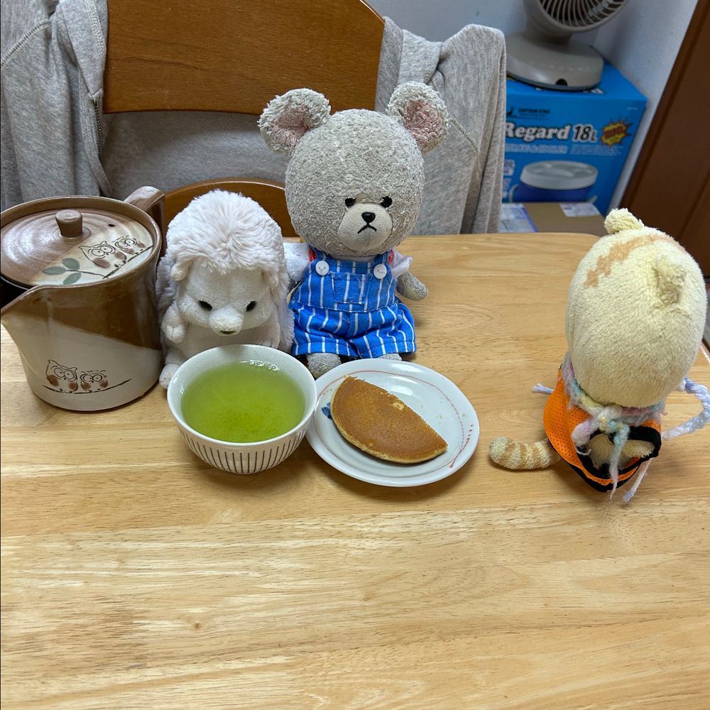 今日は大老ってお茶とどらやきつぶしあんを✨
大老は一袋しか入ってなかったから、きっといいやつのはず❣️
お茶入ったのに、ちっくんこない…
にゃんちゃんはあんこだもんね🤭
にゃんちゃんが食べ終わる頃、ちっくん来たよ🦔
なんでも、ふぅふぅしても簡単に飲み頃こないからって遊んで待ってたみたい…
みんな　自由だな〜