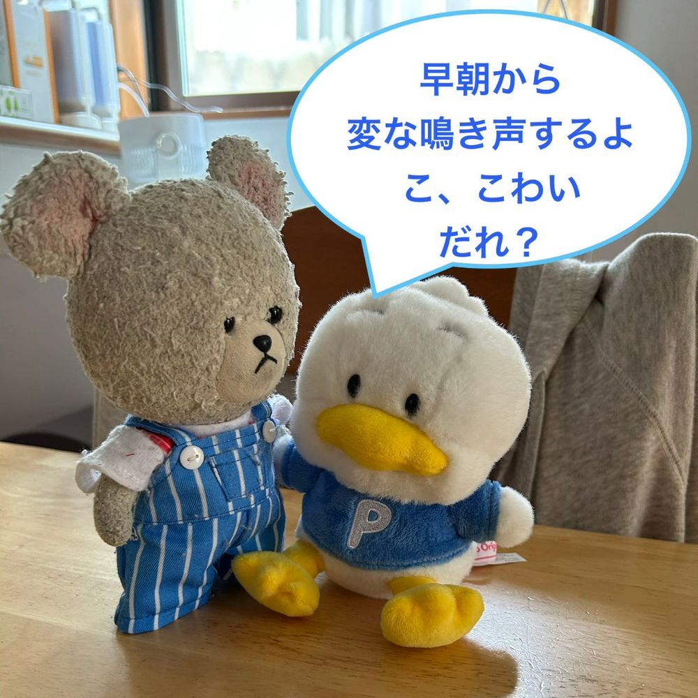 ペックルのぺくちゃん、近所の鶏の鳴き声にパニック中😱
外があかるくなると早朝から派手に鳴いてるからね💦我が家の目覚ましよりはやいんだよね⏰
必然的にぴーしゃん早起きよ👀
それで外の野菜の世話して帰ってきたとこなの🤭この後、何飲もうに🐻❄️🎶
前回カルディで買ったチキン南蛮たれセットを使って、チキン南蛮ごはん❣️
ぴーしゃんチ、ささみが好きだから、もも肉じゃなくてささみで✨
手軽にできて美味しくて便利だったよ👍