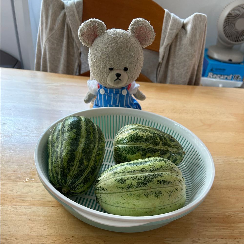 我が家のしそが生い茂り、伸びまくりきゅうり発見したら…アレだよね🤭
摘果うりもあるし…🤤
カルディのチュモッパもそう💕
冷奴の上のキムチもそう✨
パリパリぽりぽり系多めなの❣️
食感いいもの並ぶと食べた〜って満足度高めだよ🥄🐻❄️👍