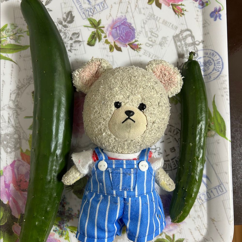 我が家のしそが生い茂り、伸びまくりきゅうり発見したら…アレだよね🤭
摘果うりもあるし…🤤
カルディのチュモッパもそう💕
冷奴の上のキムチもそう✨
パリパリぽりぽり系多めなの❣️
食感いいもの並ぶと食べた〜って満足度高めだよ🥄🐻❄️👍